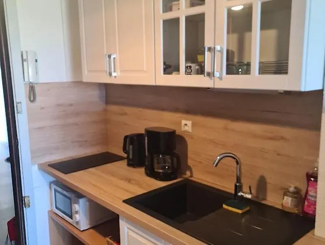 Tres Beau Appartement